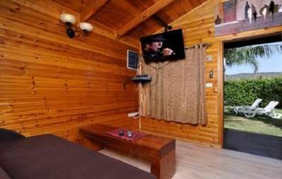 gallery-picture